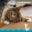 Show in main carousel: Catstages Scratch & Groom Scratch Pad & Grooming Brush Cat Toy slide 3 of 9