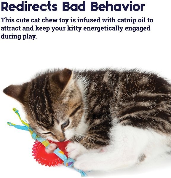 Show full view: Catstages Dental Kitty Chew Wheel Cat Chew Toy slide 4 of 7