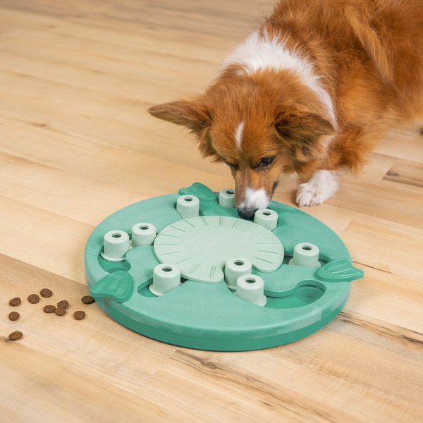 Show full view: Nina Ottosson by Outward Hound Dog Worker Green Interactive Treat Puzzle Dog Toy slide 5 of 8