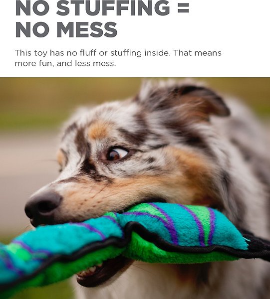 Show full view: Outward Hound Invincibles Snakes Squeaky Stuffing-Free Plush Dog Toy, 6-Squeak, Color Varies slide 3 of 6