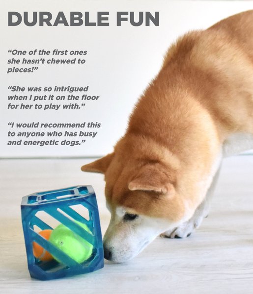 Show full view: Outward Hound Puzzle Cube Interactive Dog Toy slide 4 of 8