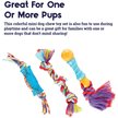 Show in main carousel: Outward Hound Dental Chew Pack Dog Toy, Petite slide 4 of 9