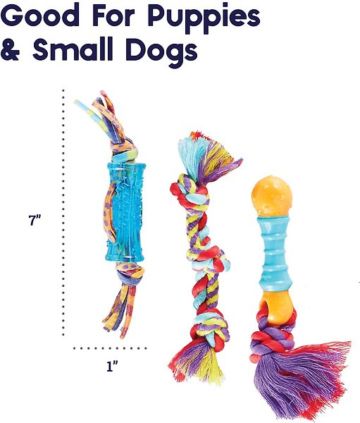 Show full view: Outward Hound Dental Chew Pack Dog Toy, Petite slide 6 of 9