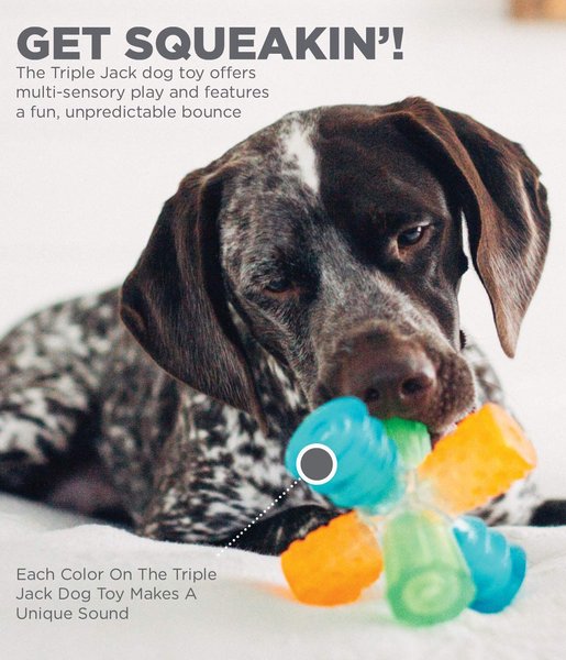 Show full view: Outward Hound Triple Jack Squeaky Dog Chew Toy slide 4 of 7