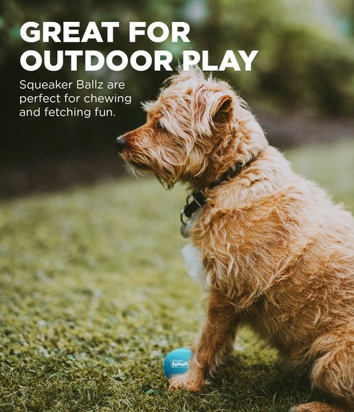 Show full view: Outward Hound Squeaker Balls X-Small Dog Toys, 8 count slide 4 of 9