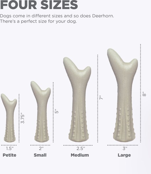 Show full view: Petstages Deerhorn Tough Dog Chew Toy, Medium slide 4 of 8