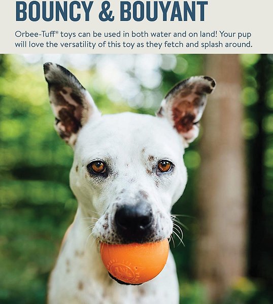 Show full view: Planet Dog Orbee-Tuff Squeak Ball Tough Dog Chew Toy, Orange slide 4 of 8