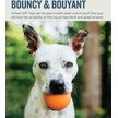 Show in main carousel: Planet Dog Orbee-Tuff Squeak Ball Tough Dog Chew Toy, Orange slide 4 of 8