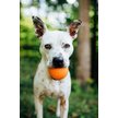Show in main carousel: Planet Dog Orbee-Tuff Squeak Ball Tough Dog Chew Toy, Orange slide 6 of 8