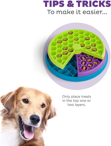 Show full view: Outward Hound Lickin' Layers Interactive Puzzle Game & Slow Feeder, Multicolor, One-Size, 2 cup slide 4 of 8