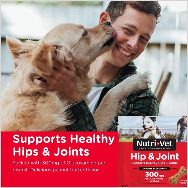 Show full view: Nutri-Vet Hip & Joint Extra Strength Wafers for Large Dogs Peanut Butter Flavor Treats, 2.72-kg bag slide 3 of 9