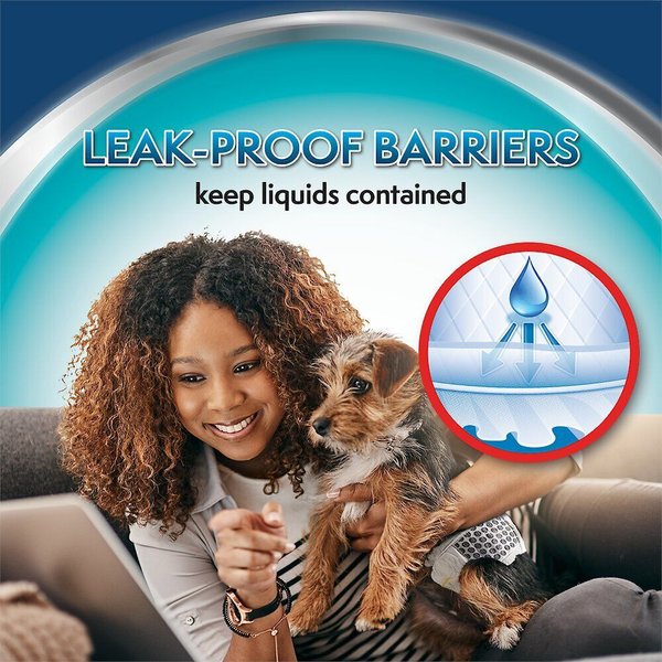 Show full view: Simple Solution Disposable Male Dog Wrap, Large: 18 to 27-in waist, 12 count slide 5 of 10