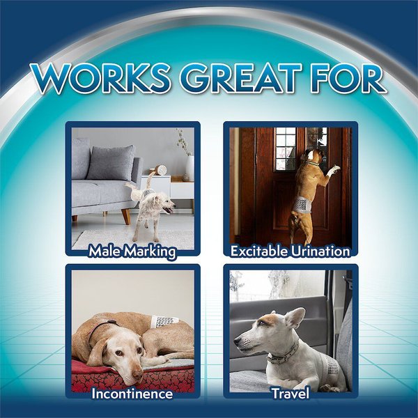 Show full view: Simple Solution Disposable Male Dog Wrap, Toy: 9 to 14-in waist, 12 count slide 7 of 10