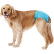 Show in main carousel: Simple Solution Washable Female Dog Diaper, X-Large: 22 to 35-in waist slide 3 of 8