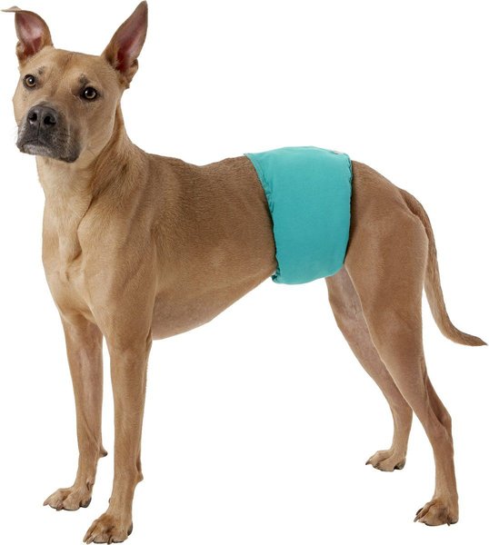 Show full view: Simple Solution Washable Male Dog Wrap, Medium: 12 to 23-in waist slide 3 of 9