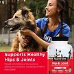 Show in main carousel: Nutri-Vet Extra Strength Chewable Tablets Joint Supplement for Dogs, 120 count slide 5 of 10