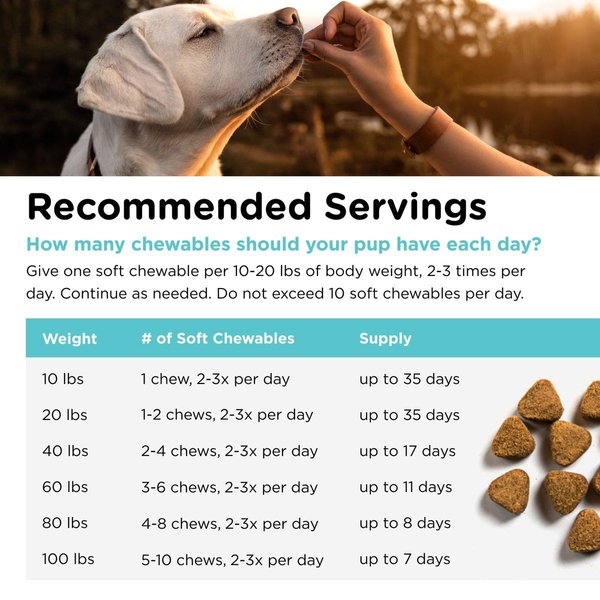 Show full view: Nutri-Vet Pet-Ease Soft Chews Calming Supplement for Dogs, 6-oz bag slide 5 of 10