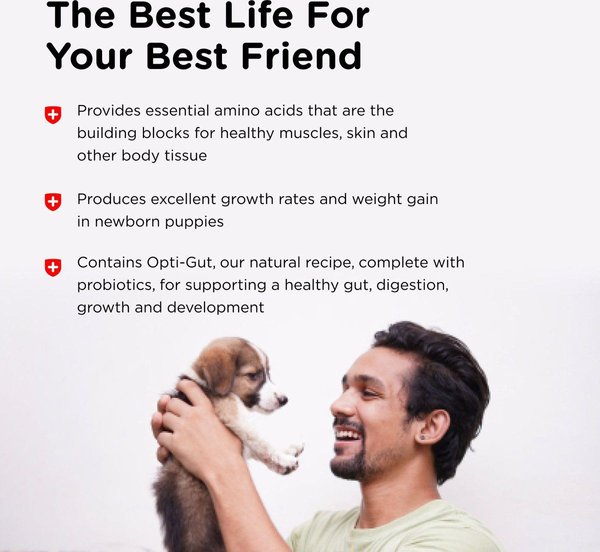 Show full view: Nutri-Vet Powder Milk Supplement for Dogs, 12-oz slide 4 of 10