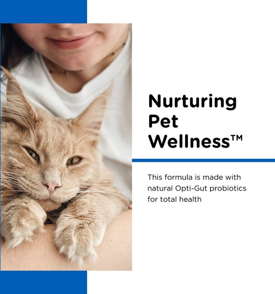 Show full view: Nutri-Vet Powder Milk Supplement for Cats, 12-oz slide 4 of 8