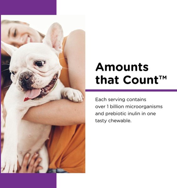 Show full view: Nutri-Vet Pre & Probiotics Soft Chews Digestive Supplement for Dogs, 120 count slide 3 of 10