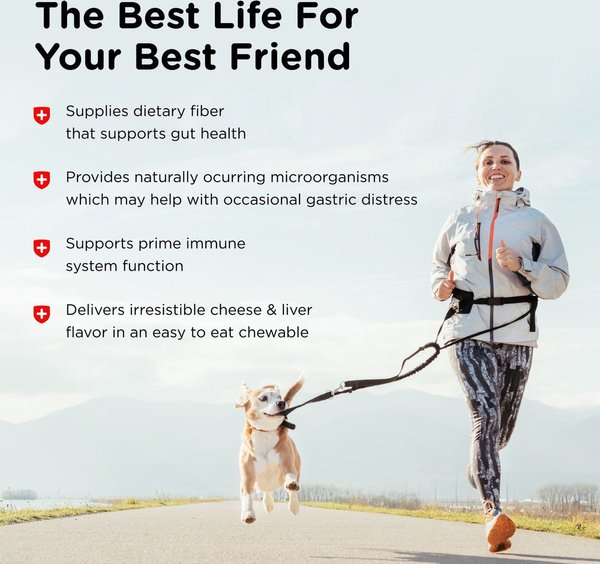 Show full view: Nutri-Vet Pre & Probiotics Soft Chews Digestive Supplement for Dogs, 120 count slide 4 of 10