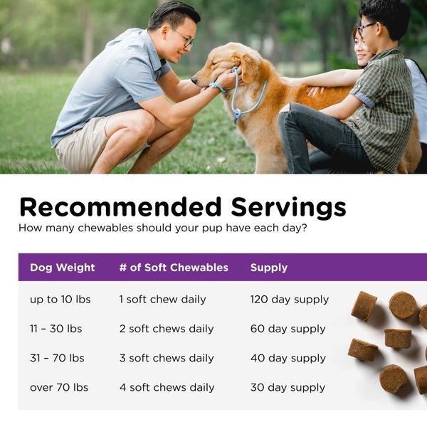 Show full view: Nutri-Vet Pre & Probiotics Soft Chews Digestive Supplement for Dogs, 120 count slide 5 of 10
