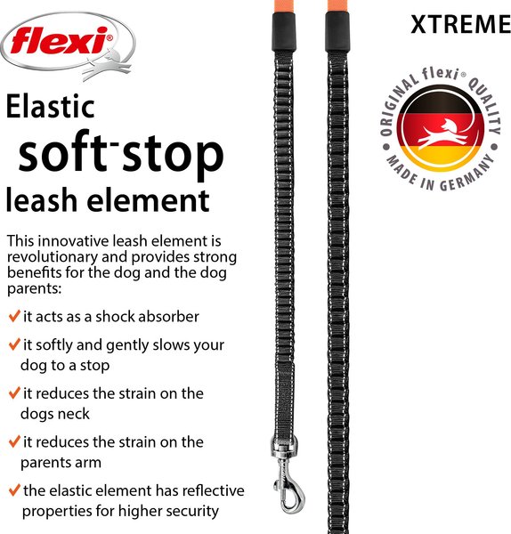 Show full view: Flexi Xtreme Tape Retractable Dog Leash, Small: 5-m long slide 5 of 7
