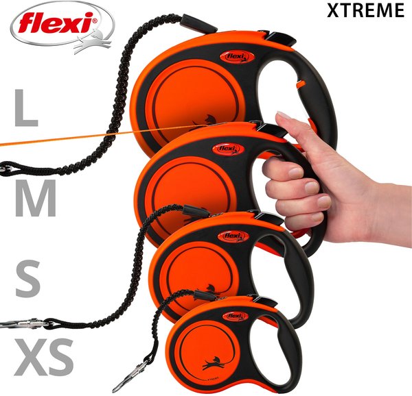 Show full view: Flexi Xtreme Tape Retractable Dog Leash, Small: 5-m long slide 6 of 7