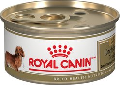 Royal Canin Breed Health Nutrition Dachshund Adult Canned Dog Food, 85-g can, case of 24