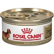 Show in main carousel: Royal Canin Breed Health Nutrition Dachshund Adult Canned Dog Food, 85-g can, case of 24 slide 1 of 8