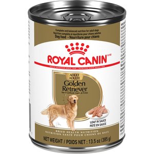 ROYAL CANIN Breed Health Nutrition Golden Retriever Adult Dry Dog