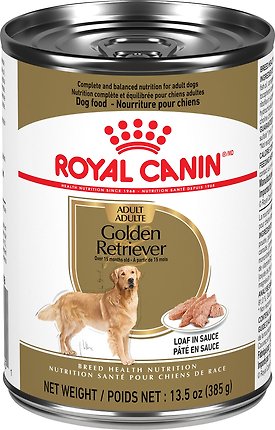 商品名:  CANIN ADULT Golden Retriever ROYAL CANIN Breed Health Nutrition Golden Retriever Adult Wet