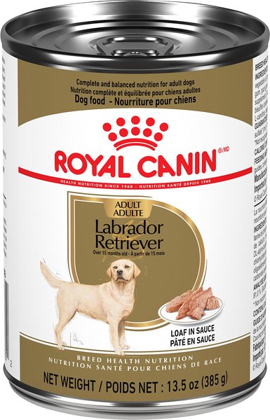 Royal Canin Breed Health Nutrition Labrador Retriever Adult Canned Dog Food 385 g can case of 12