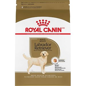 ROYAL CANIN Breed Health Nutrition Labrador Retriever Adult Dry