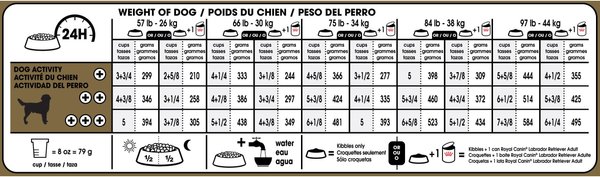 Show full view: Royal Canin Breed Health Nutrition Labrador Retriever Adult Dry Dog Food, 13.6-kg bag slide 6 of 7