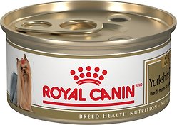 Royal Canin Breed Health Nutrition Yorkshire Terrier Adult Wet Canned Dog Food, 85-g can, case of 24