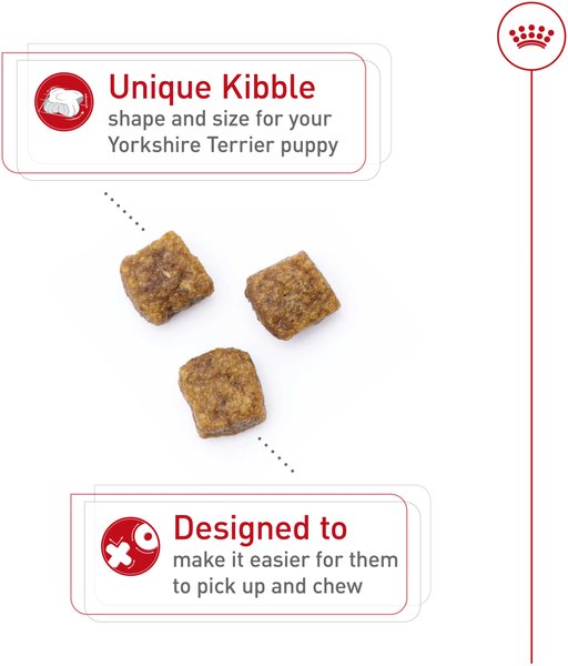 Show full view: Royal Canin Breed Health Nutrition Yorkshire Terrier Puppy Dry Dog Food, 1.1-kg bag slide 3 of 9