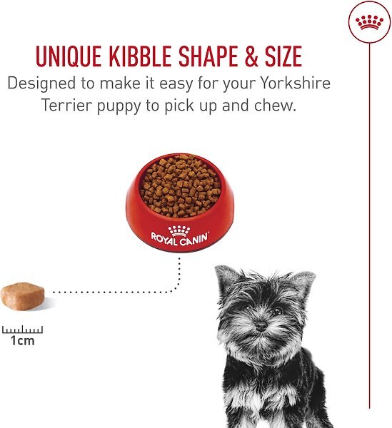 Show full view: Royal Canin Breed Health Nutrition Yorkshire Terrier Puppy Dry Dog Food, 1.1-kg bag slide 4 of 9