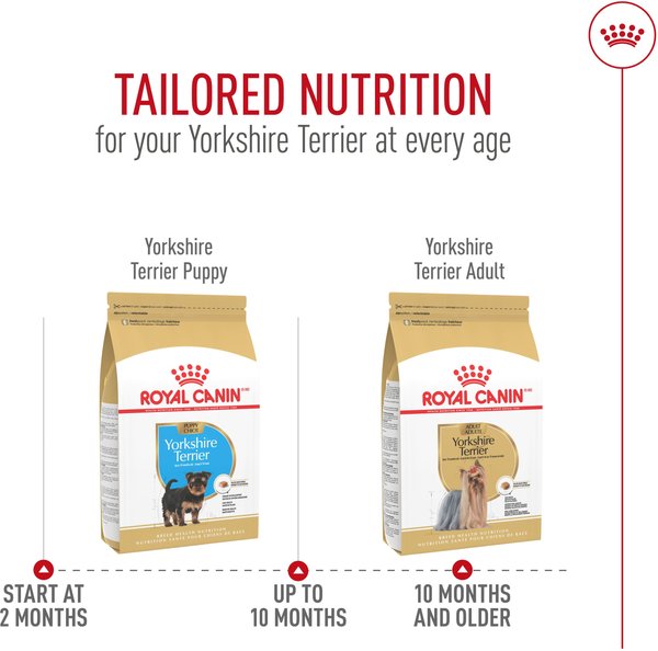 Show full view: Royal Canin Breed Health Nutrition Yorkshire Terrier Puppy Dry Dog Food, 1.1-kg bag slide 7 of 9