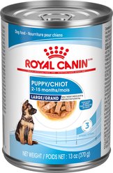 Royal Canin Canine Health Nutrition Large Puppy Thin Slices in Gravy Wet Canned Dog Food, 370-g can, case of 12