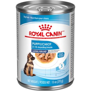 ROYAL CANIN Size Health Nutrition Large Puppy Dry Dog Food