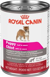 Royal Canin Canine Health Nutrition Puppy Wet Canned Puppy Food, 385-g can, case of 12