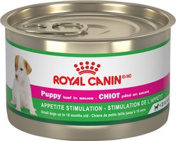 Royal Canin Canine Health Nutrition Puppy Appetite Stimulation Loaf In Sauce Wet Canned Puppy Food, 150-g can, case of 24