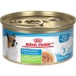 Show in main carousel: Royal Canin Canine Health Nutrition X-Small Puppy Thin Slices in Gravy Wet Canned Puppy Food, 85-g can, case of 24 slide 1 of 7