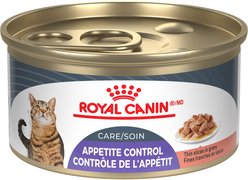 Royal Canin Feline Care Nutrition Appetite Control Care Thin Slices In Gravy Wet Canned Cat Food, 85-g can, case of 24
