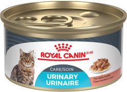 Royal Canin Feline Care Nutrition Urinary Care Wet Canned Cat Food, 85-g can, case of 24