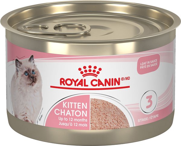 ROYAL CANIN Feline Health Nutrition Kitten Loaf In Sauce Canned Cat ...