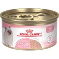 Royal Canin Feline Health Nutrition Kitten Loaf In Sauce Canned Cat Food, 85-g can, case of 24