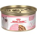Royal Canin Feline Health Nutrition Kitten Thin Slices In Gravy Canned Cat Food, 85-g can, case of 24
