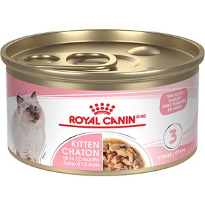 Royal Canin Feline Health Nutrition Kitten Thin Slices In Gravy Canned Cat Food, 85-g can, case of 24